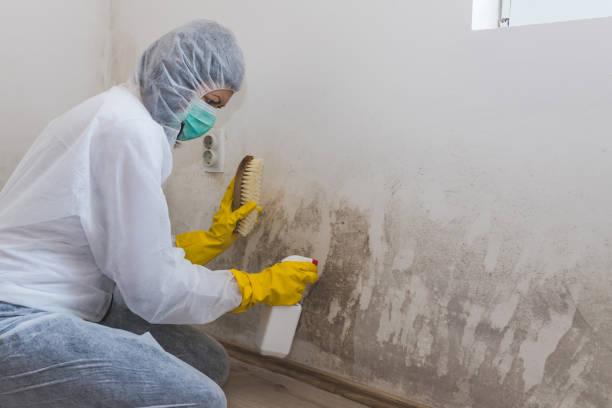 Best Crawl Space Mold Removal  in Lake Arrowhead, ME