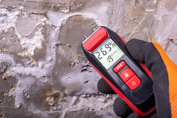 Reliable Lake Arrowhead, ME Mold Removal Solutions