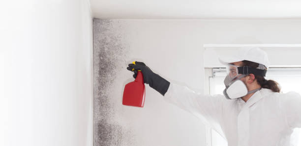Best Crawl Space Mold Removal  in Lake Arrowhead, ME